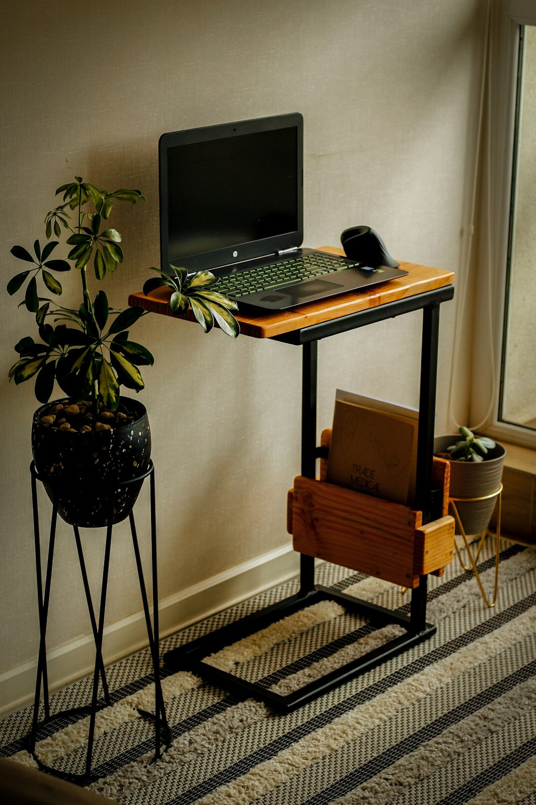 Ergonomic wooden desk with laptop and plant